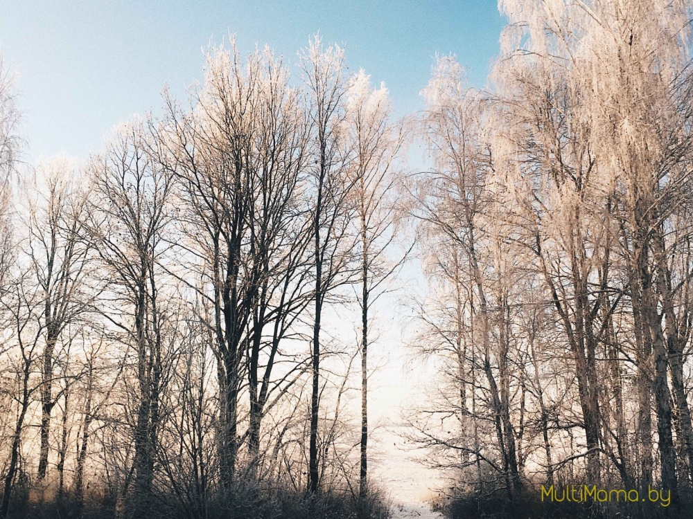 Куда сходить с ребёнком в выходные 1-2 Декабря 2018