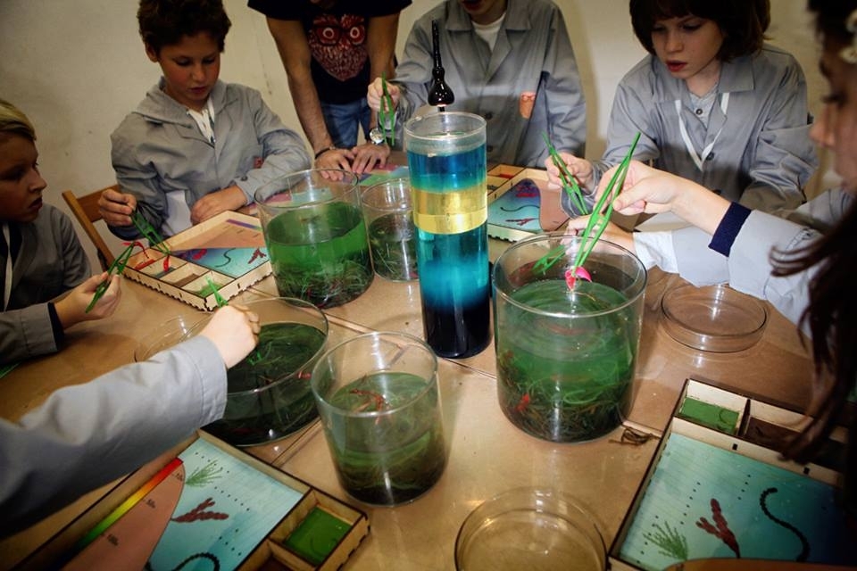 Научная программа «Подводный Мир» от проекта «Умный Минск»