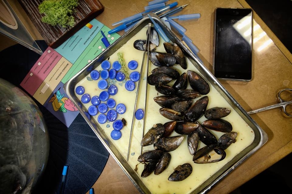 Научная программа «Подводный Мир» от проекта «Умный Минск»