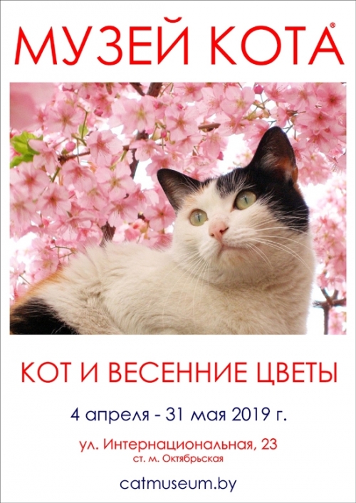 «Кот и Весенние Цветы» в Музее кота