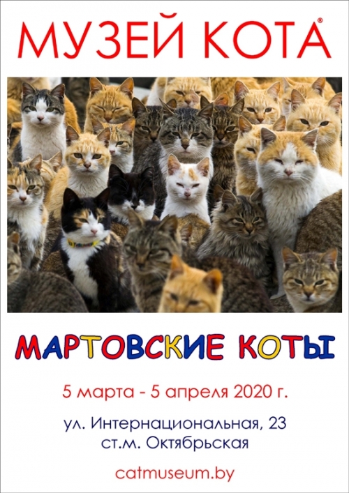 «Мартовские коты» в Музее кота