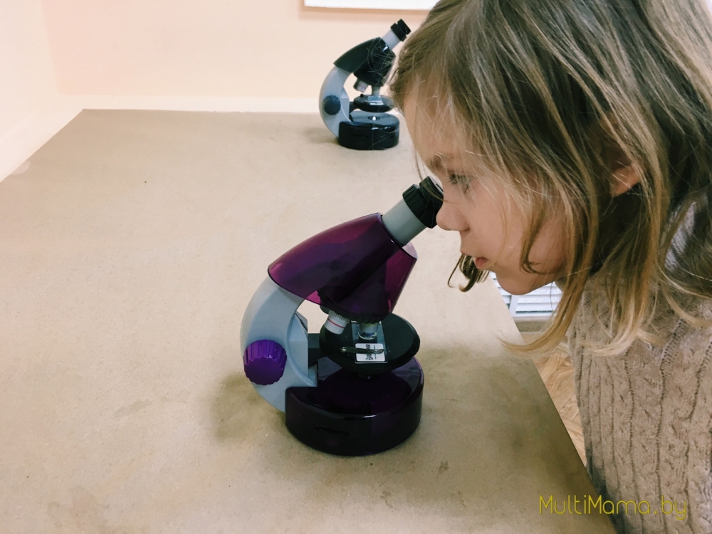 Отзыв о научной программе «Подводный мир» проекта «Умный Минск»