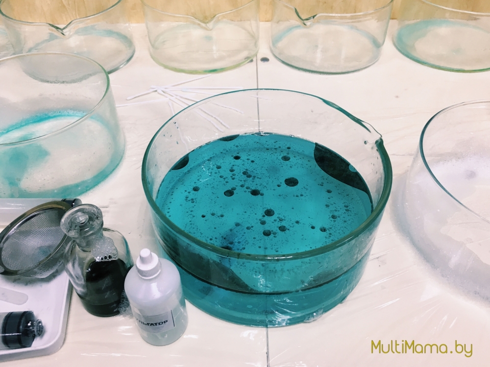 Отзыв о научной программе «Подводный мир» проекта «Умный Минск»