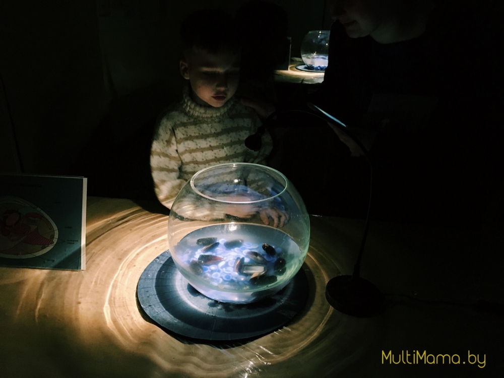 Отзыв о научной программе «Подводный мир» проекта «Умный Минск»