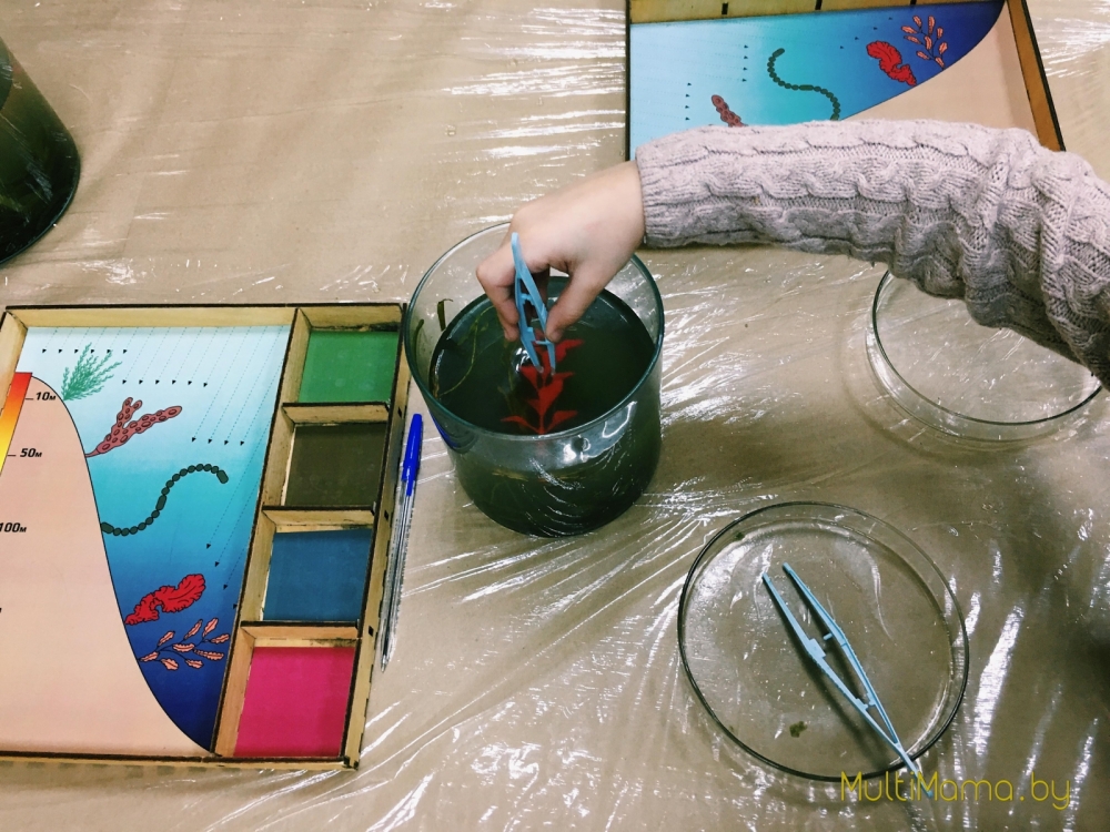 Отзыв о научной программе «Подводный мир» проекта «Умный Минск»