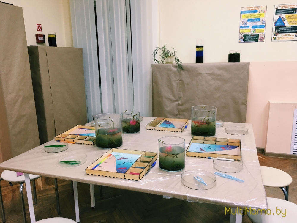 Отзыв о научной программе «Подводный мир» проекта «Умный Минск»