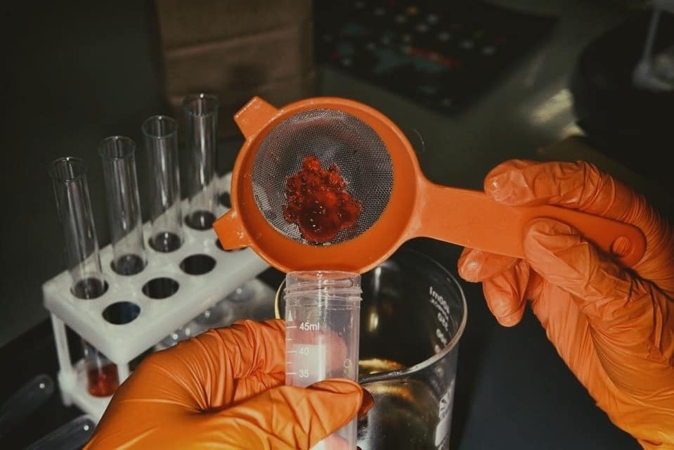 Научная программа «Науки о еде» от проекта «Умный Минск»