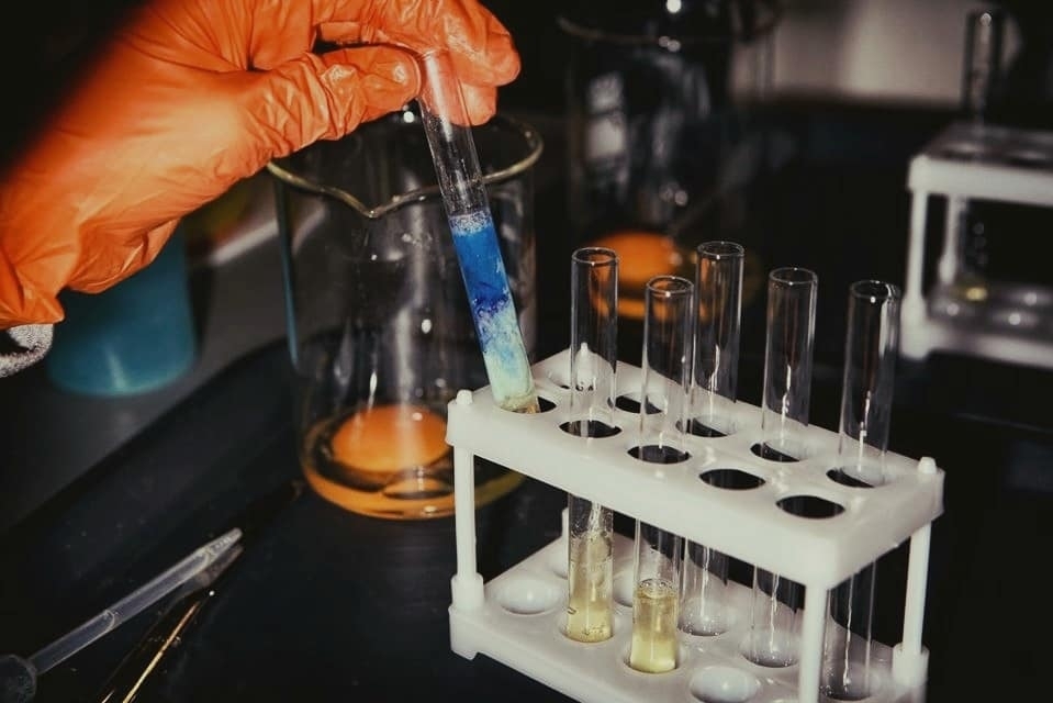 Научная программа «Науки о еде» от проекта «Умный Минск»