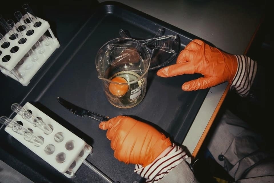 Научная программа «Науки о еде» от проекта «Умный Минск»