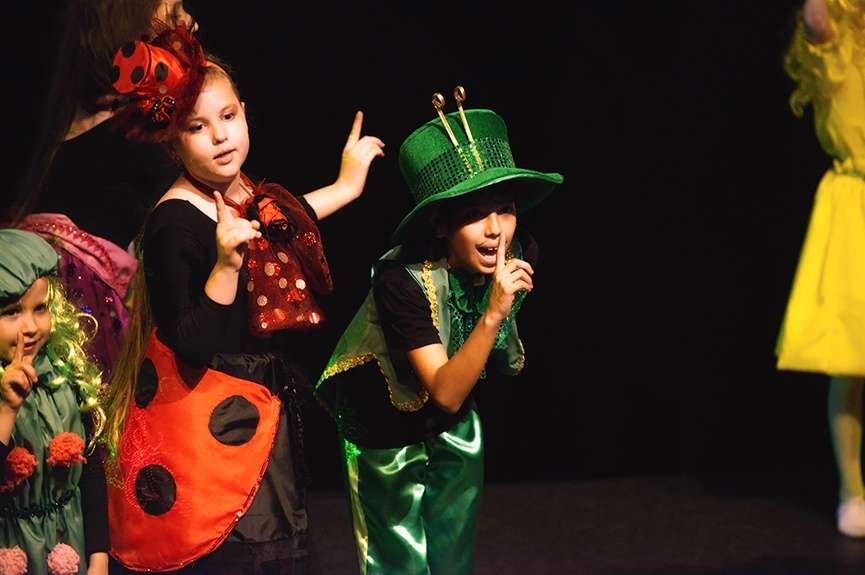 Спектакль «Жукашечка в стране трудных насекомых»