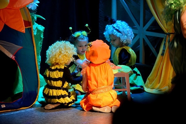 Спектакль «Жукашечка в стране трудных насекомых»
