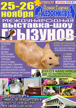 3. Международная выставка грызунов, хорьков и зайцеобразных «Осенние следочки-2017»