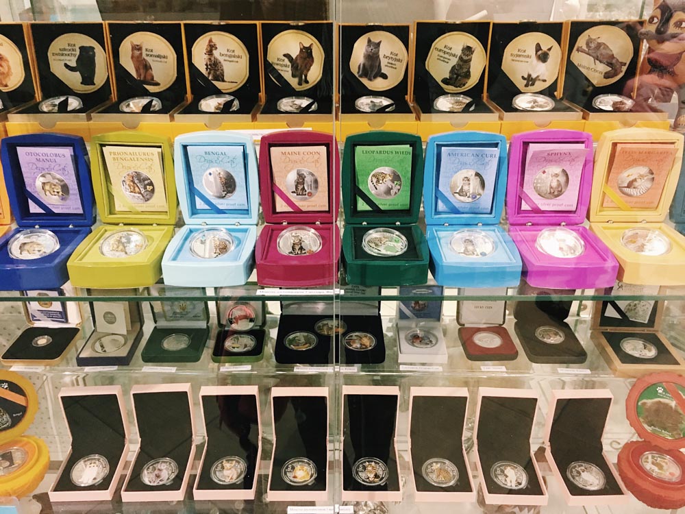 MMby_LIVE 2017 11 25 Without Logo 2-1