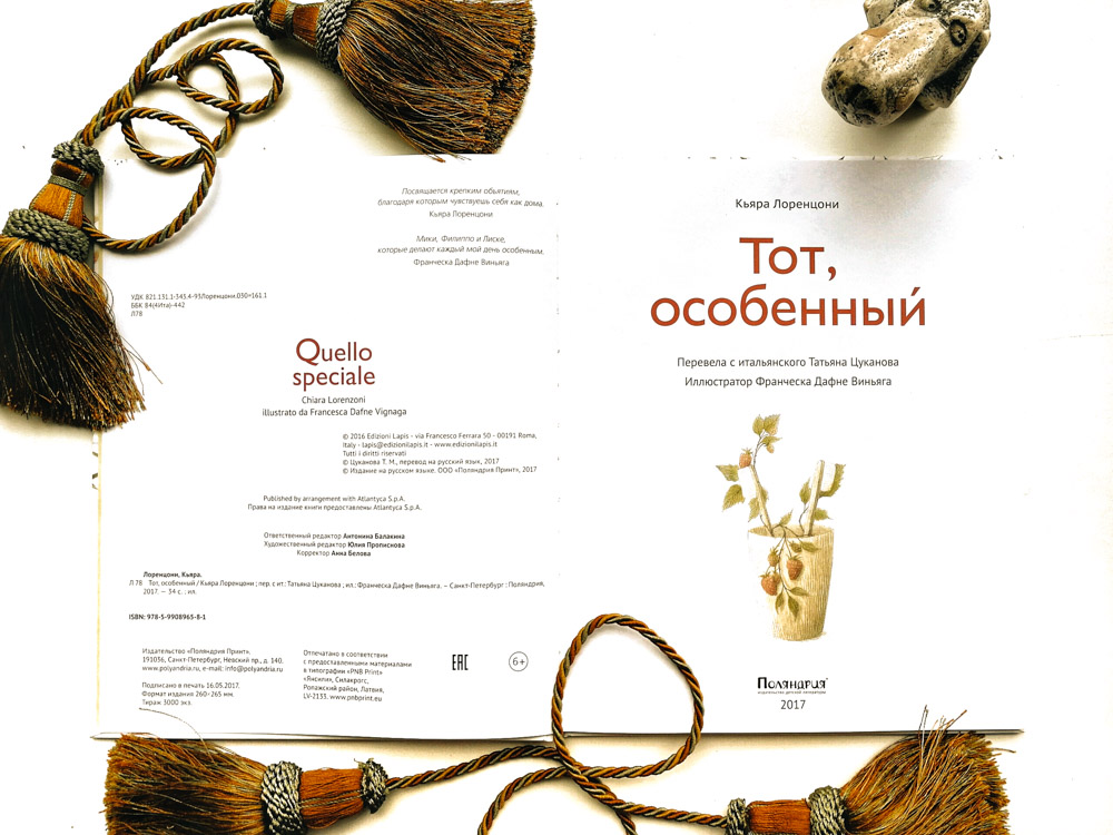 Иллюстрация к книге «Тот, особенный». Кьяра Лоренцони, Франческа Дафне Виньяга. Издательство «Поляндрия»