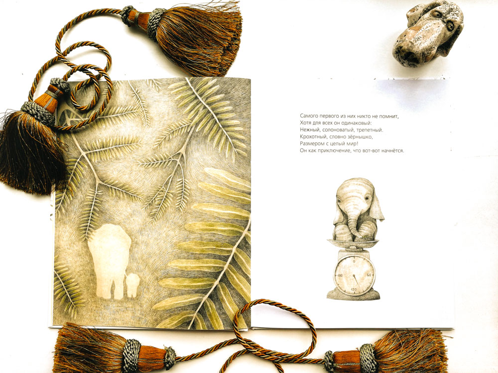 Иллюстрация к книге «Тот, особенный». Кьяра Лоренцони, Франческа Дафне Виньяга. Издательство «Поляндрия»