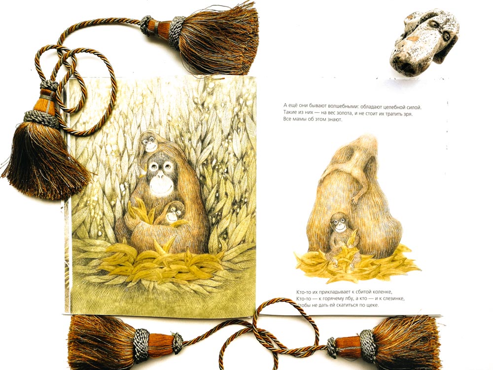 Иллюстрация к книге «Тот, особенный». Кьяра Лоренцони, Франческа Дафне Виньяга. Издательство «Поляндрия»