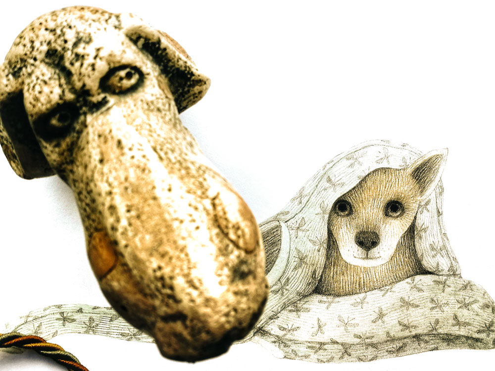 Иллюстрация к книге «Тот, особенный». Кьяра Лоренцони, Франческа Дафне Виньяга. Издательство «Поляндрия»