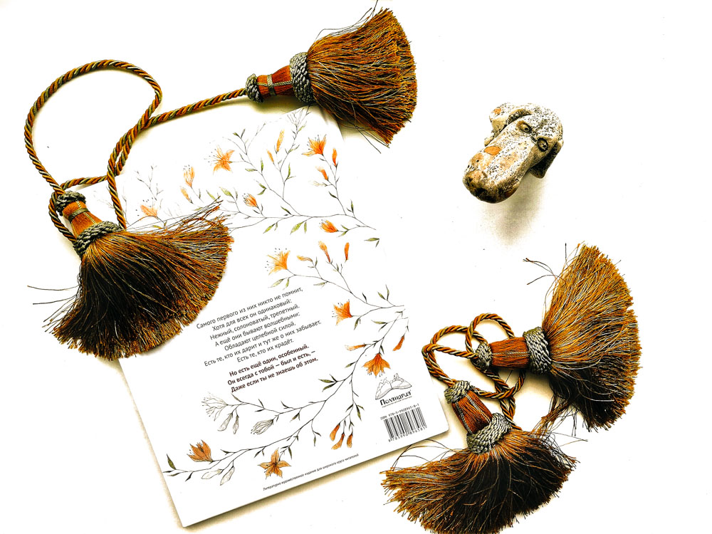 Иллюстрация к книге «Тот, особенный». Кьяра Лоренцони, Франческа Дафне Виньяга. Издательство «Поляндрия»