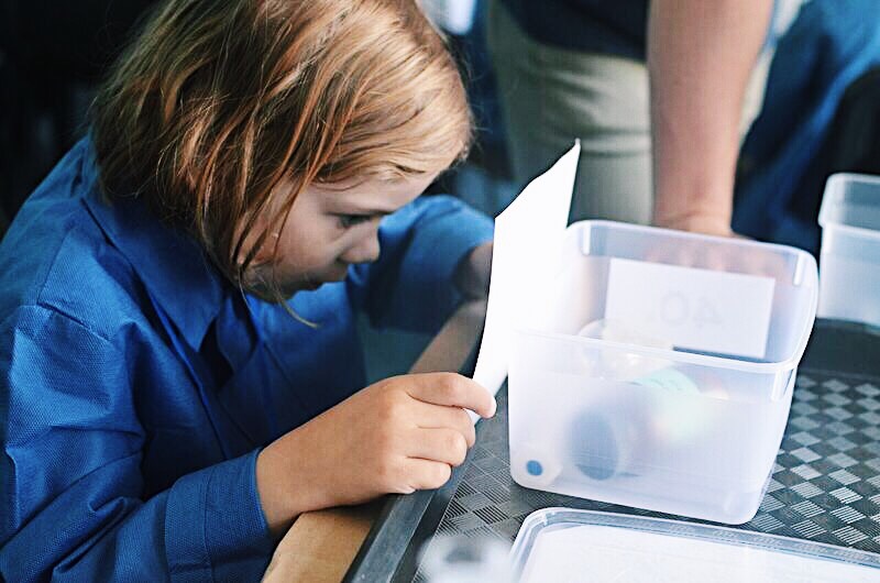 Отзыв о научном шоу «Лечебное дело» проекта «Умный Минск»