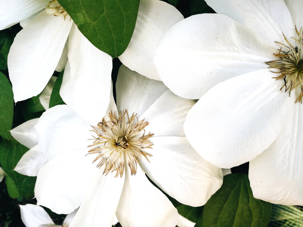 Куда сходить с ребёнком в выходные 16-17 Июня. Афиша на выходные