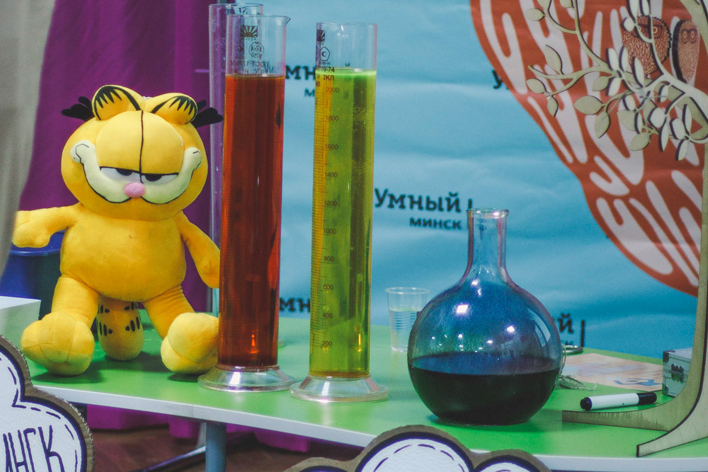 Отзыв о научной программе «Великие Научные Открытия» проекта «Умный Минск» / «Smart Minsk»