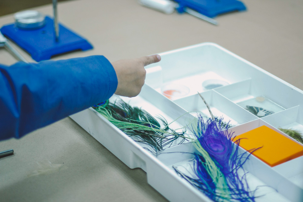 Отзыв о научной программе «Великие Научные Открытия» проекта «Умный Минск» / «Smart Minsk»