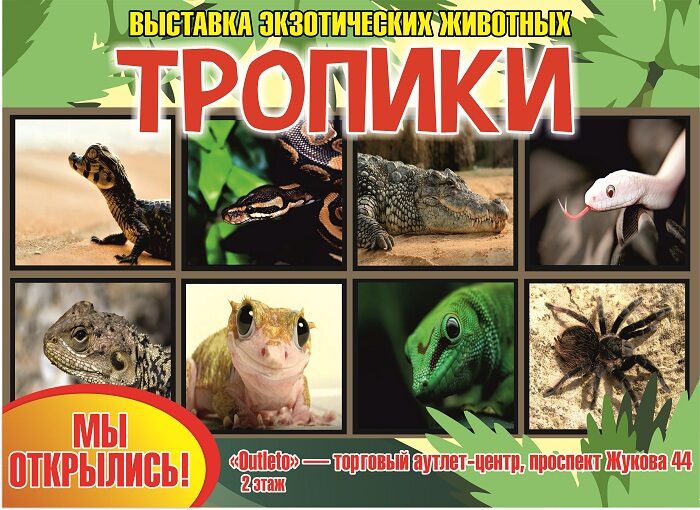 Куда сходить с ребёнком в выходные 22-25 Декабря