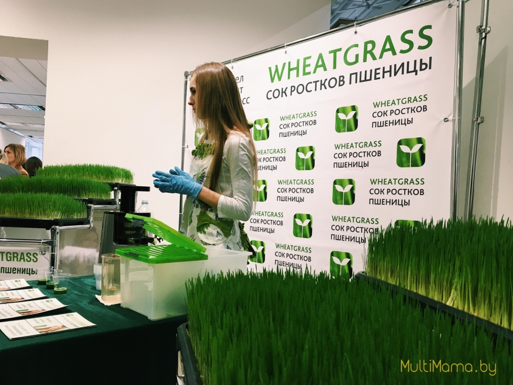 Отзыв о Семейном фестивале «БУКИДС. Профессии». Вид изнутри.